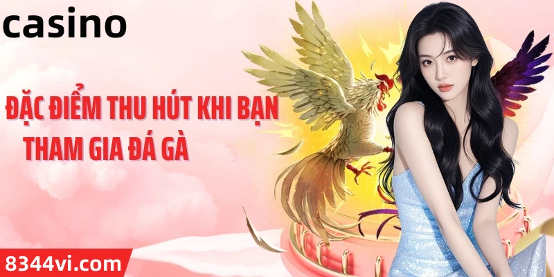 Hình ảnh quảng cáo của sun18 hiển thị nền tảng và các lợi ích